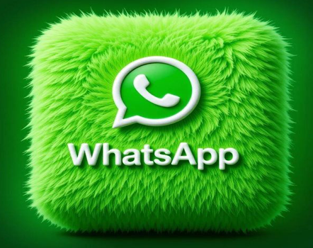 website design Whatsapp ads
